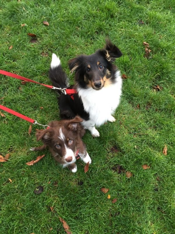 crbst_LOKI_20ET_20LAIKA