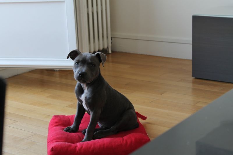 crbst_NALA