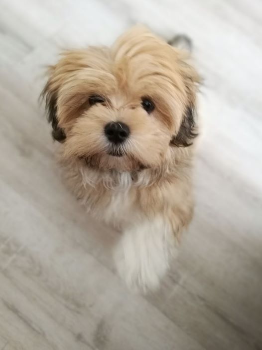 crbst_NALA_205_20mois_20et_20demi