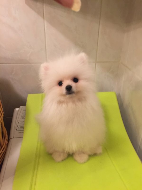 crbst_lilou_202