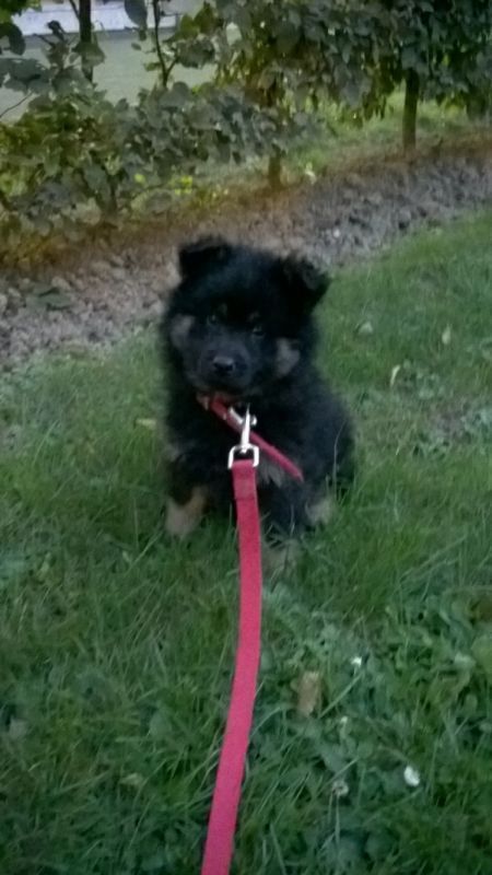 crbst_mila_202_20MOIS