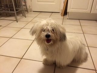 crbst_myrtille_207_20mois