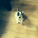 th_crbst_JACK_202