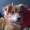 th_crbst_KIDDO_201an_20et_20demi