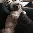 th_crbst_Louna_202