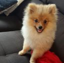 th_crbst_lilo_205_20MOIS