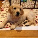 th_crbst_lola_203_20MOIS